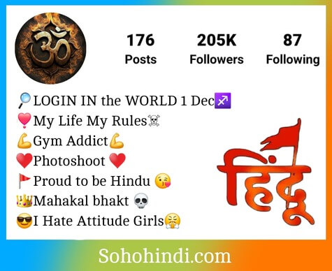 Instagram Bio For Boys Hindu
